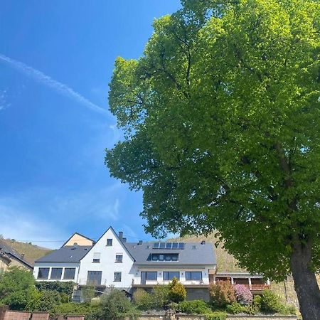 Chateau-De-La-Moselle Kinheim Exteriér fotografie